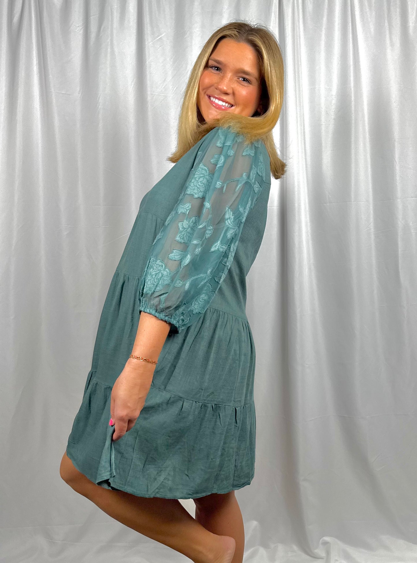 Sheer Sleeve Dress